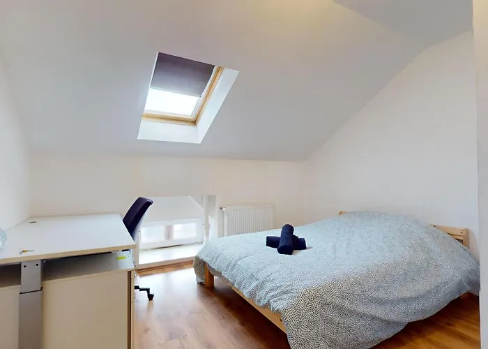 Le Nid Perche * Mulhouse